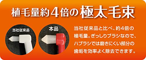 プレミアムケア ポイントブラシ 5