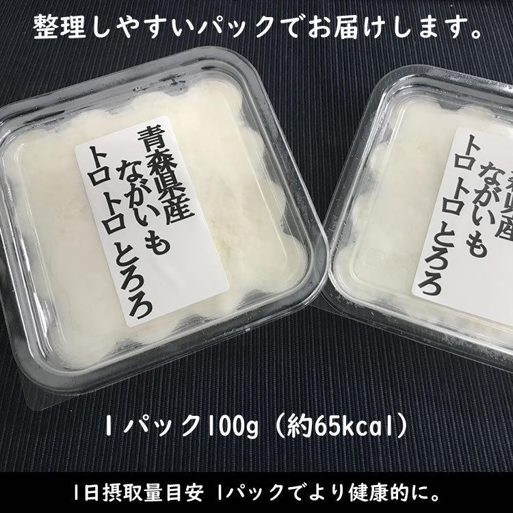 青森県産ながいも トロトロとろろ 2