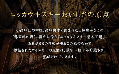 ブラックニッカ　クリア　4L×1本 2