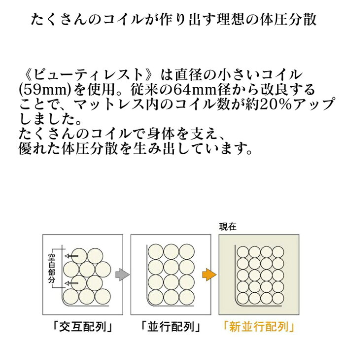 レギュラー 2