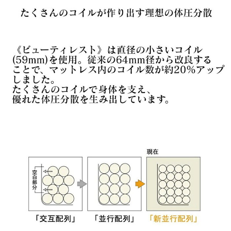 レギュラー 2