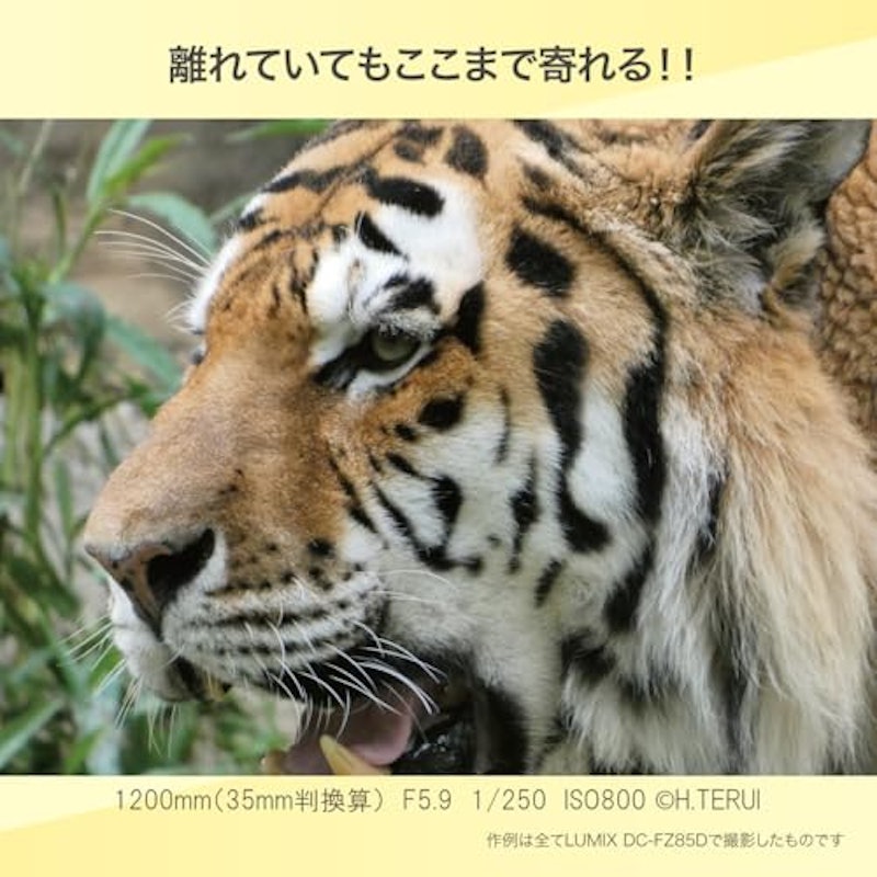 デジタルカメラ 6