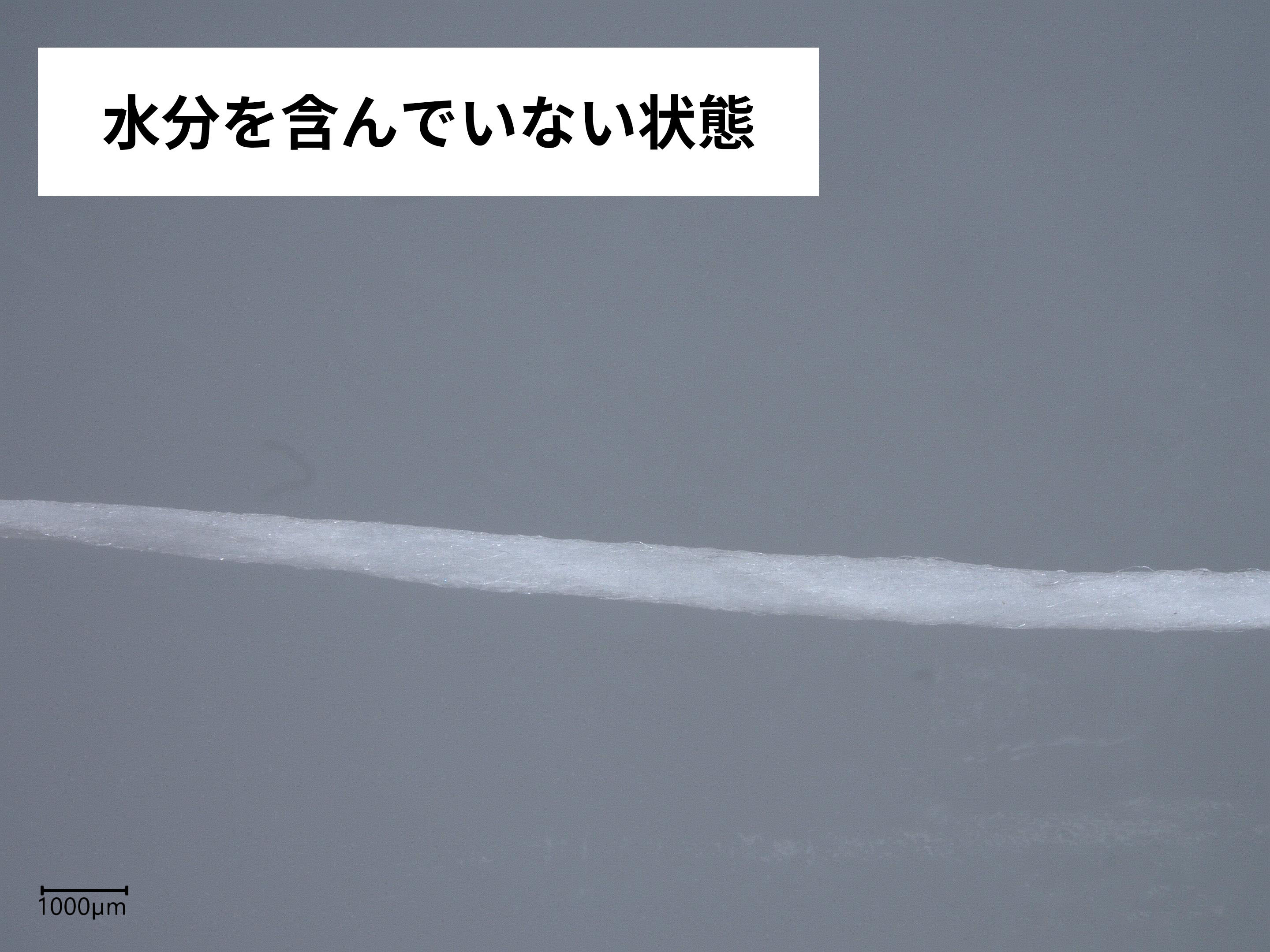 フロス ミントワックス 3