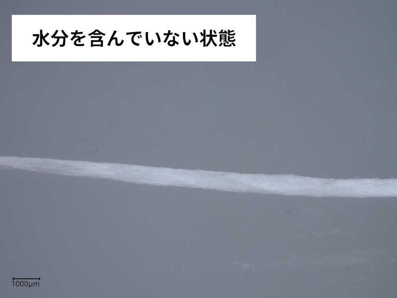 フロス ミントワックス 3
