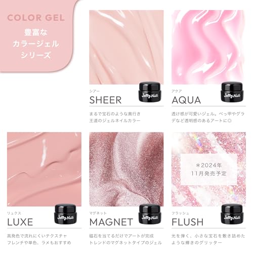 ジェルネイルキット ベーシック 1カラーセット (AQUA 13 アクアルージュ) 3