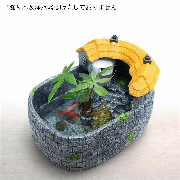 21年 亀の飼育用水槽のおすすめ人気ランキング7選 Mybest