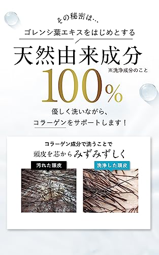 ノアルフレ  2