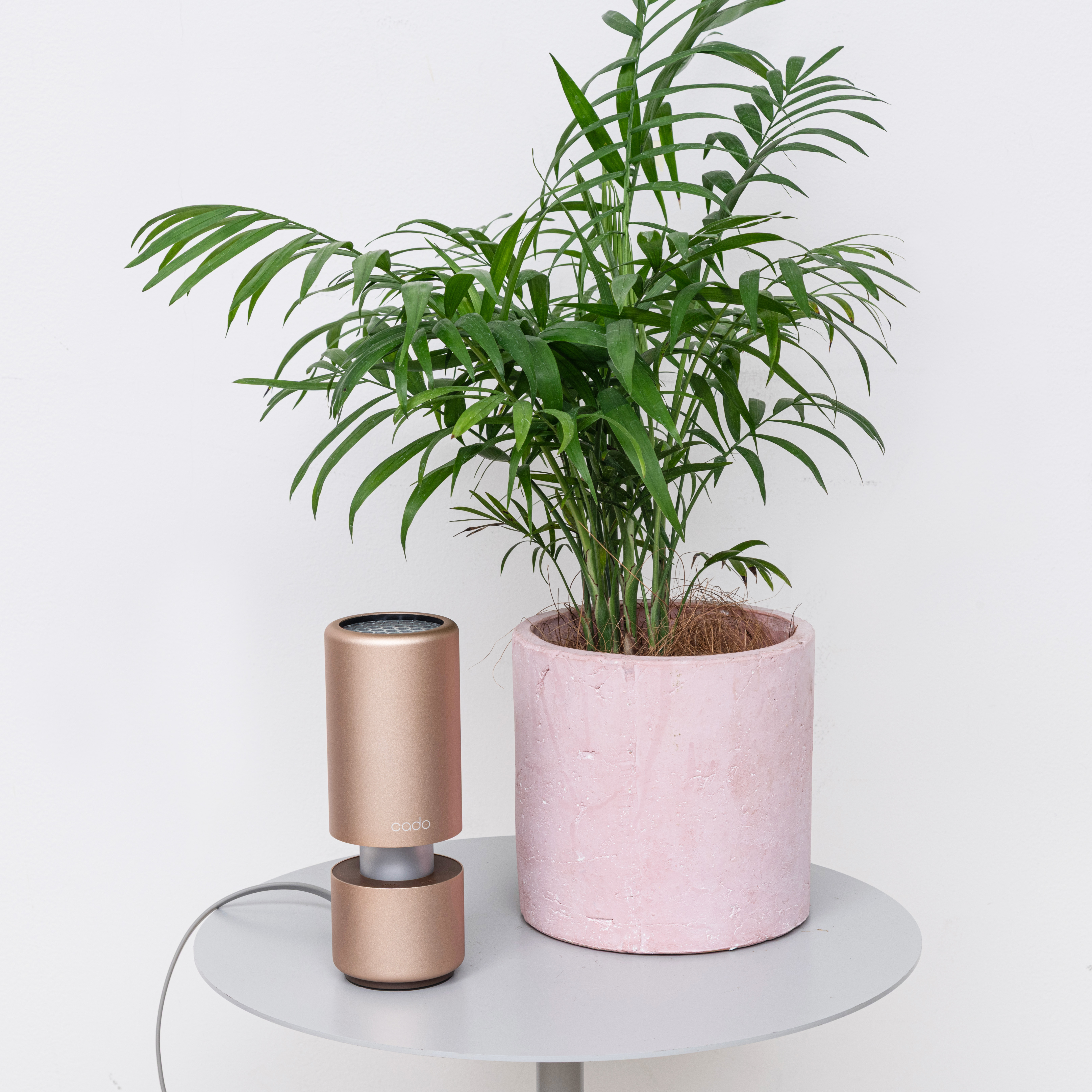 LEAF Portable 6