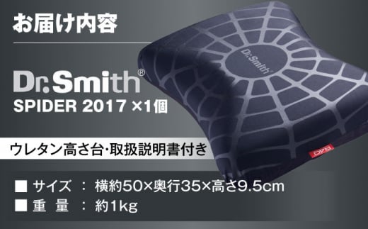 SPIDER2017 4