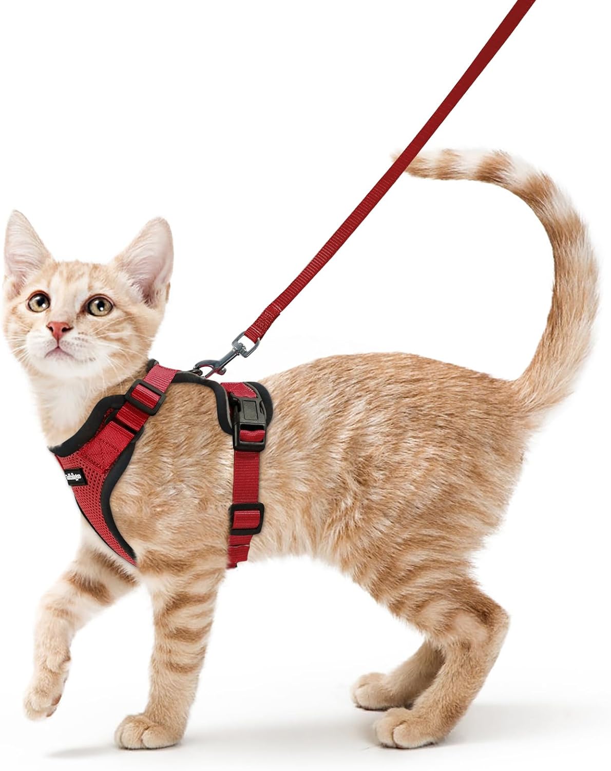 猫用 ハーネス リードセット 1