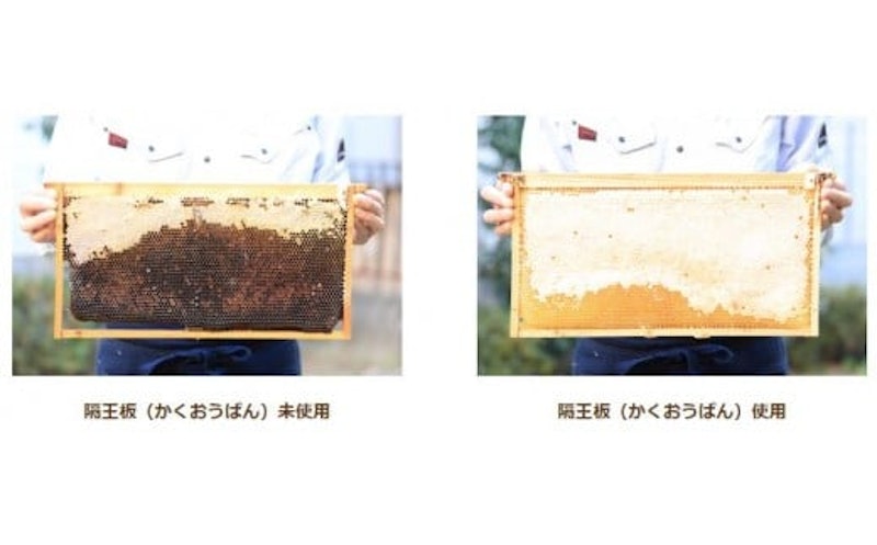 純生はちみつ あかしあ 4