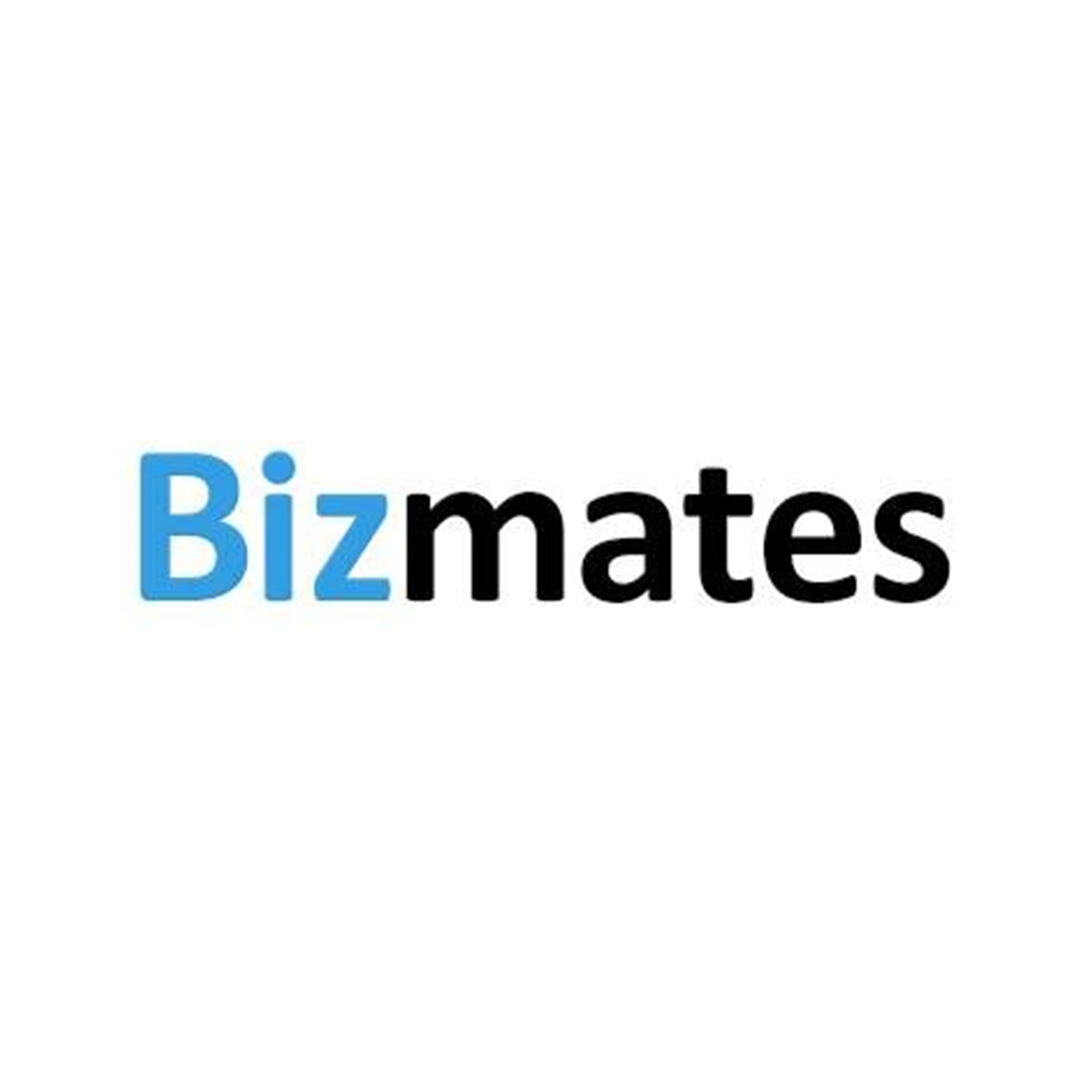 Bizmates 1