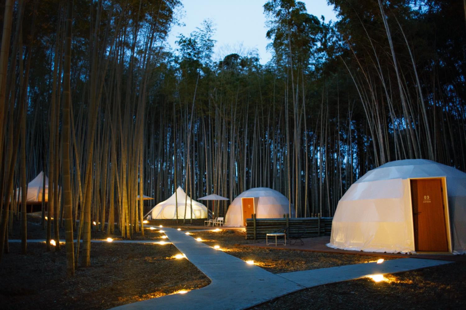 The Bamboo forest 3