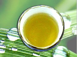 森のこかげ 甜茶 4