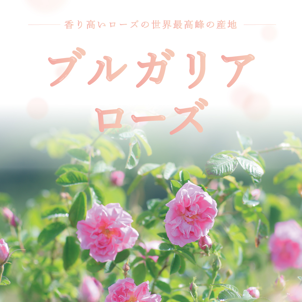 ローズサプリ 2