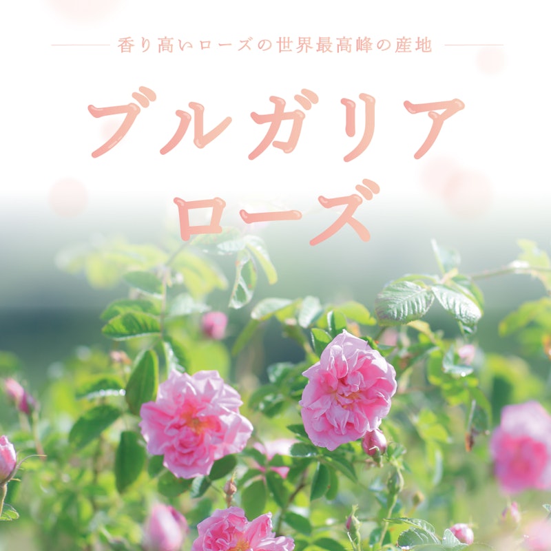 ローズサプリ 2
