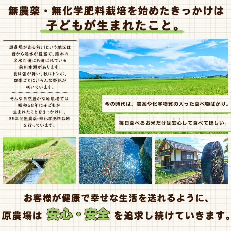 中力粉 2