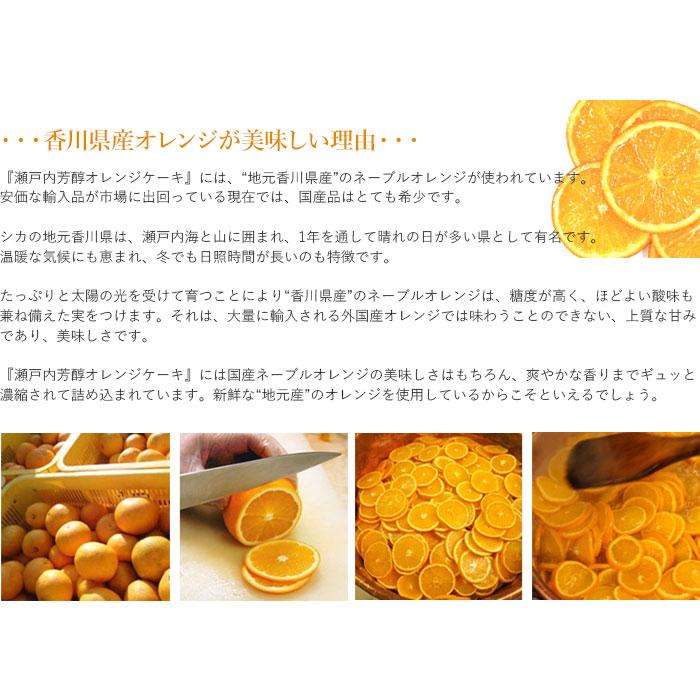 瀬戸内芳醇オレンジケーキ 5