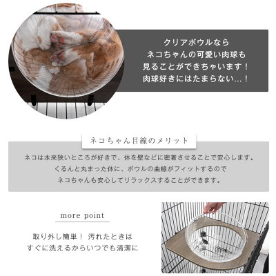 ハピネコ CHIC 7