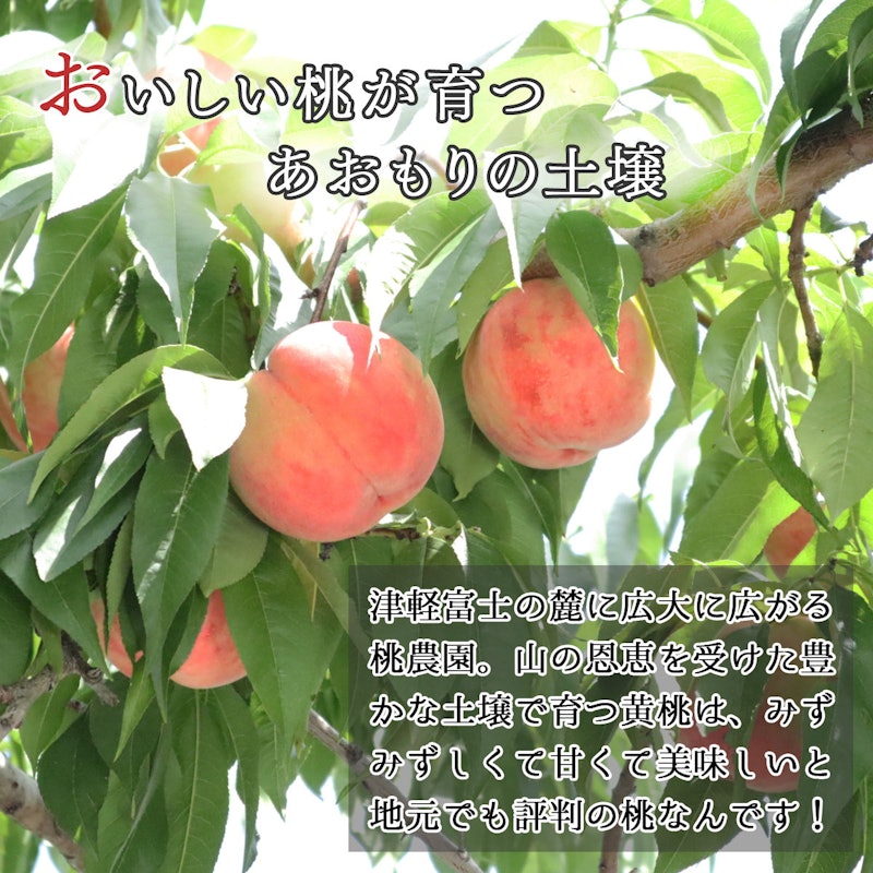 川中島白桃 4