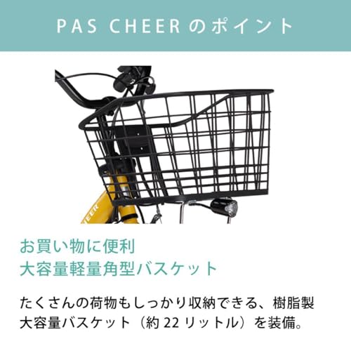 CHEER 3
