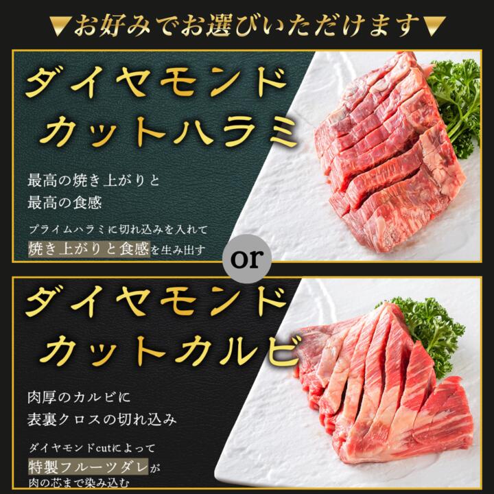 厳選セット 8