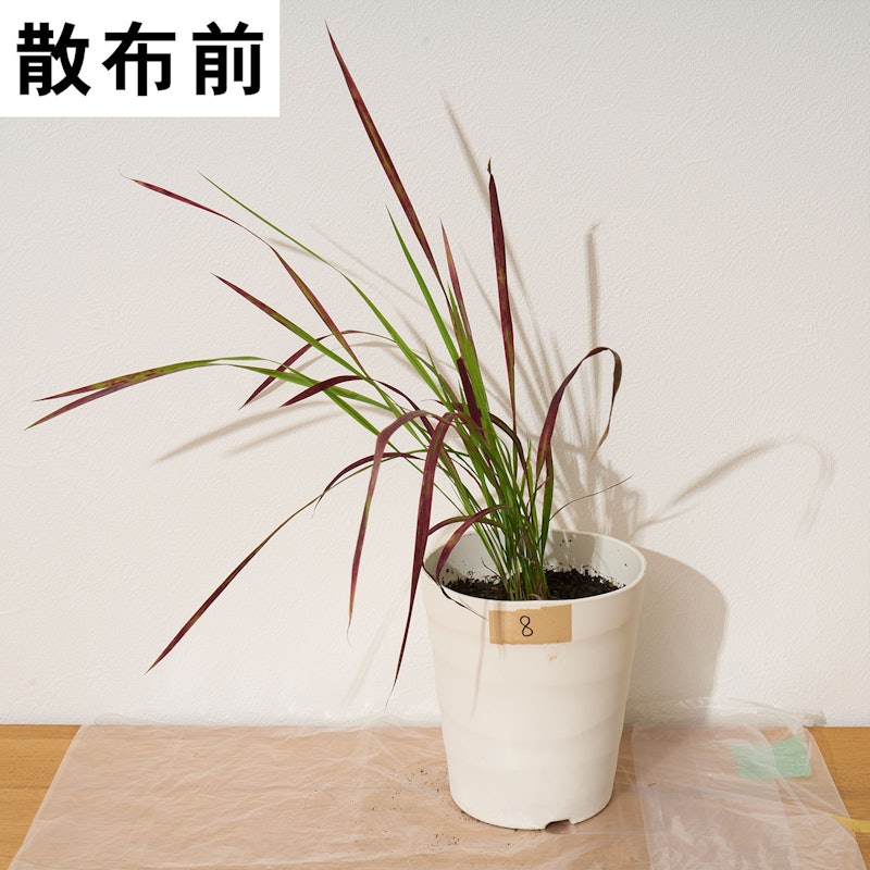 はやく効くお酢の除草剤 12