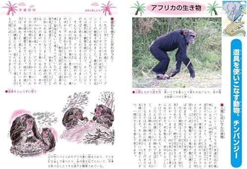 自由帳 白無地 3