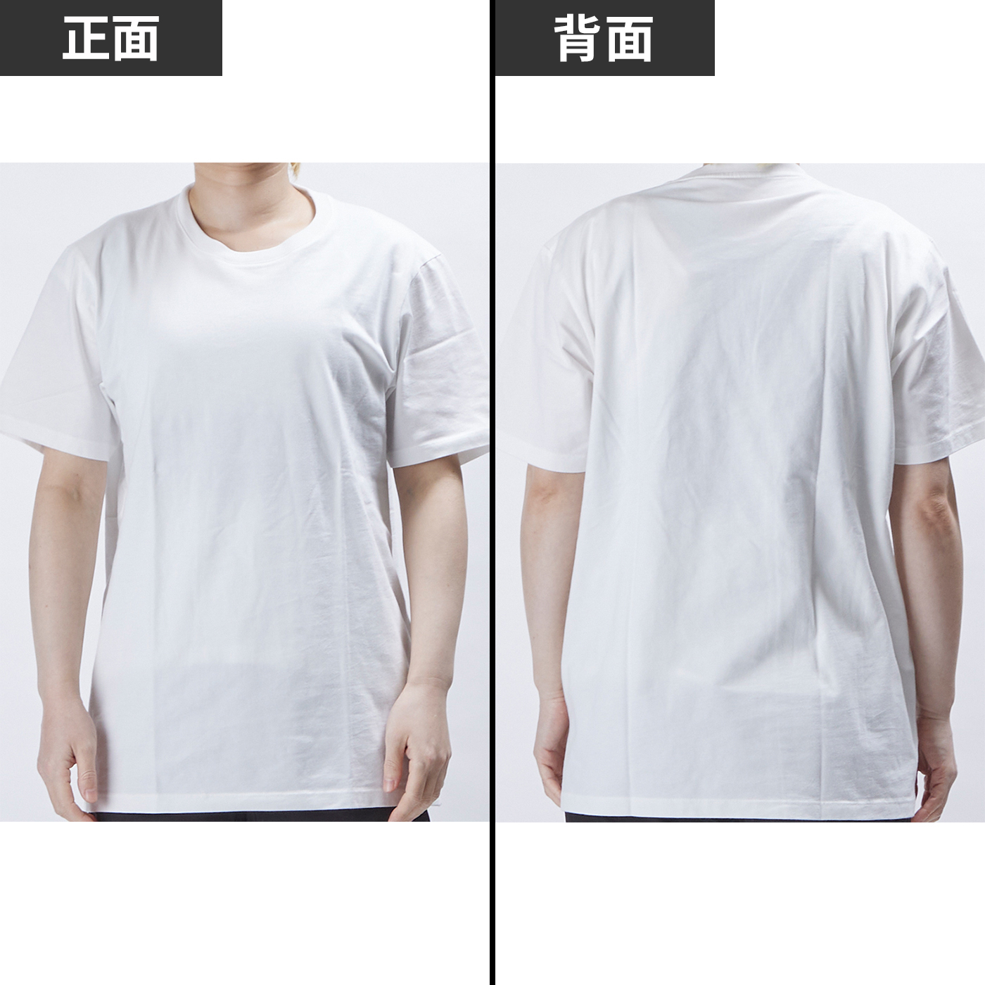 BX Fit 6