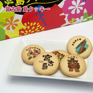 宮古島島クッキー 1