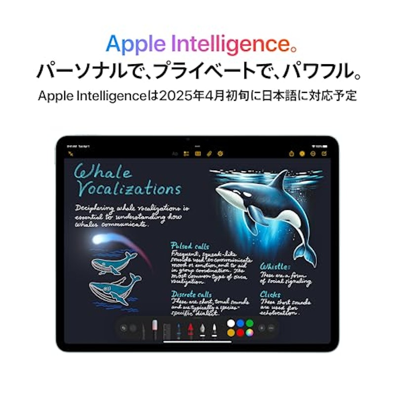 iPad Air 3