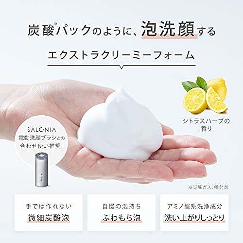 イオンフェイシャルブラシ 9