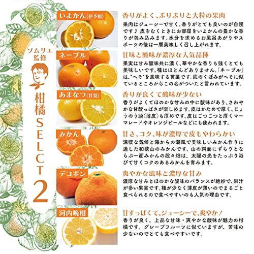 和歌山県産 ソムリエ厳選 柑橘食べ比べ セット 7