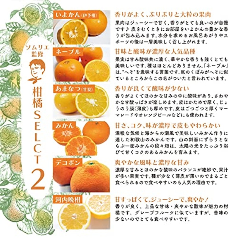 和歌山県産 ソムリエ厳選 柑橘食べ比べ セット 7
