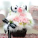 ショパンデザイン プリザーブドフラワー Snoopy 1