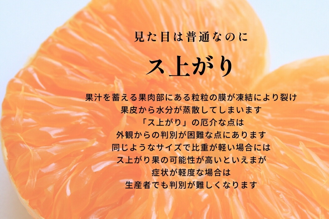 濃いハウスせとか 3