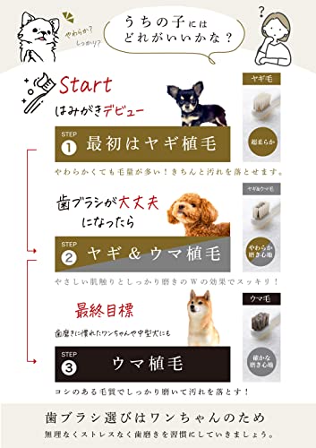 柔らかい天然毛歯ブラシ 5