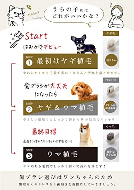 柔らかい天然毛歯ブラシ 5