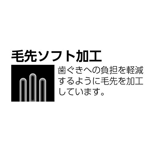 プレミアムケア ポイントブラシ 10