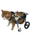 迟早会成功 犬用 猫用車椅子 1