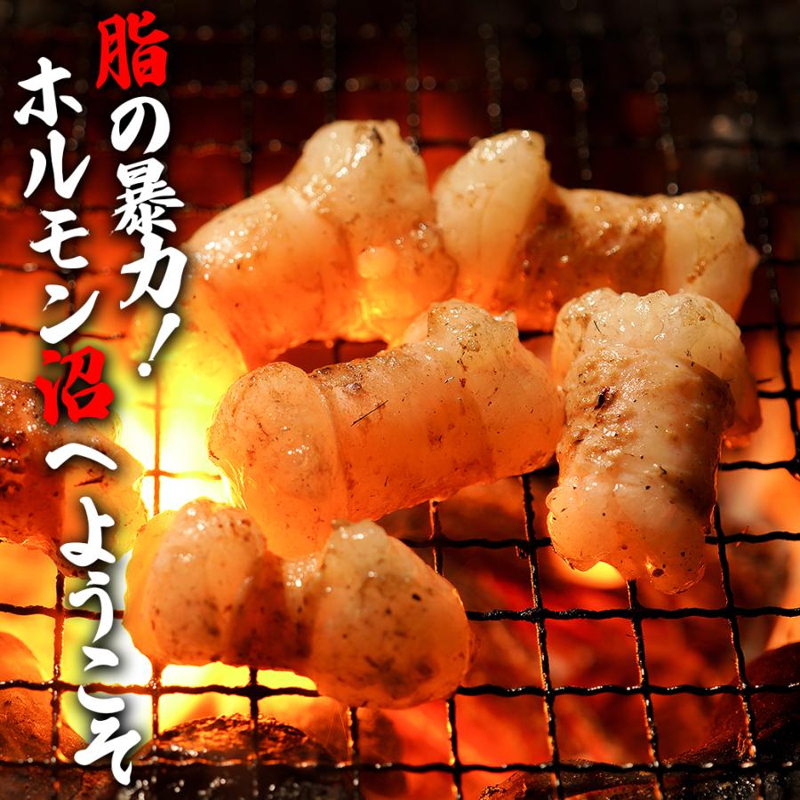 タレ漬けホルモン（マルチョウ） 2