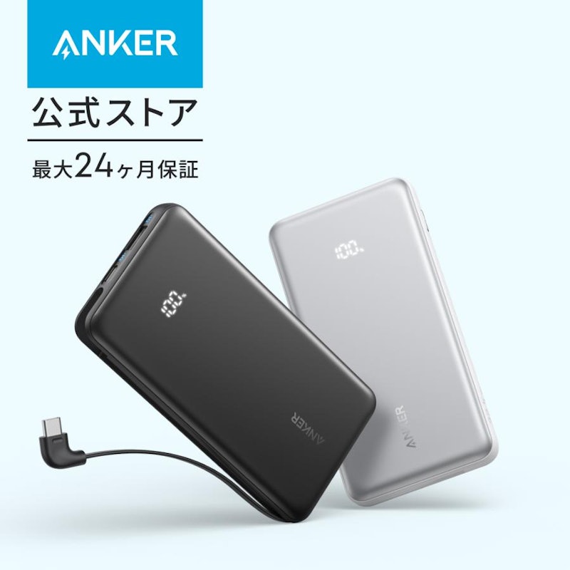 Zolo Power Bank 1