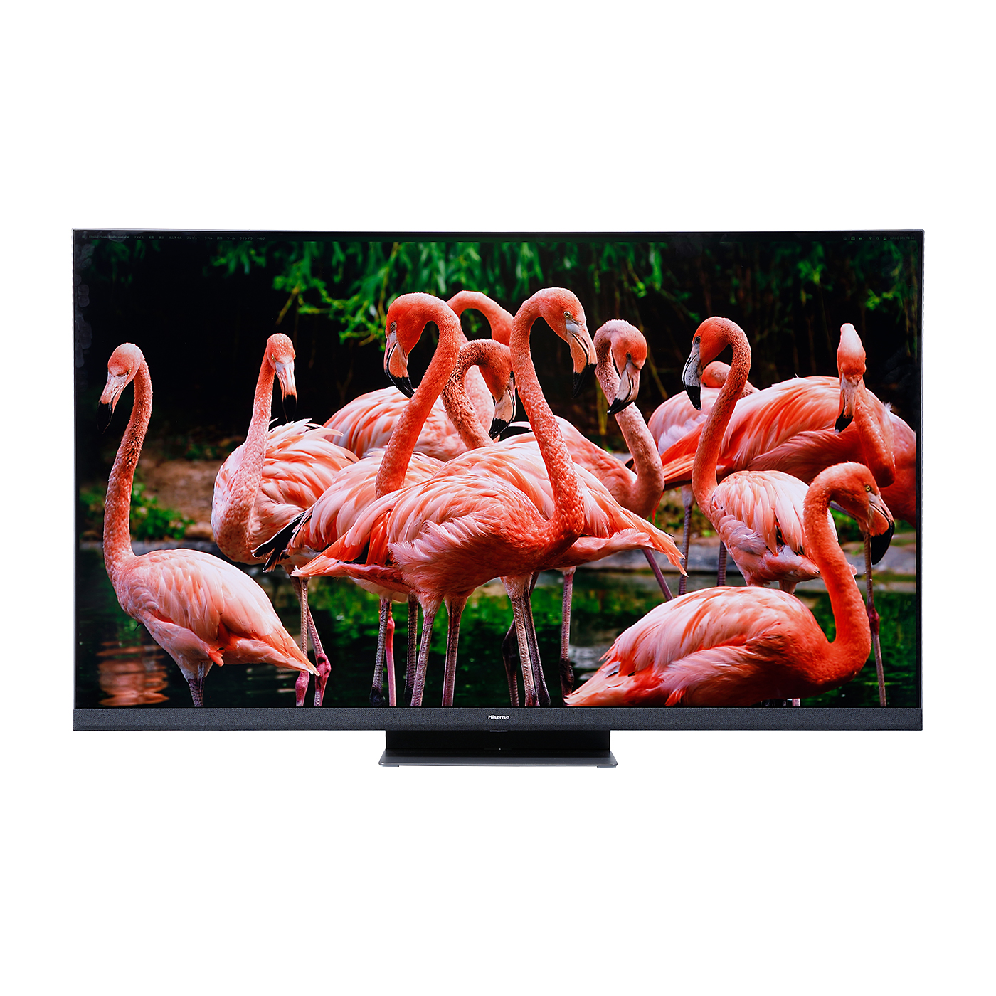 ハイセンスの65インチテレビのおすすめ人気ランキング【2025年11月