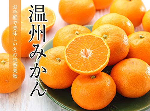 産地厳選 風のいたずら ちょっと訳ありみかん 6