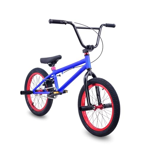 レース仕様のBMXです。今の仕様には敵いませんが･･･^^; 初心者向けBMXのおすすめ人気ランキング【2026年4月】 | マイベスト