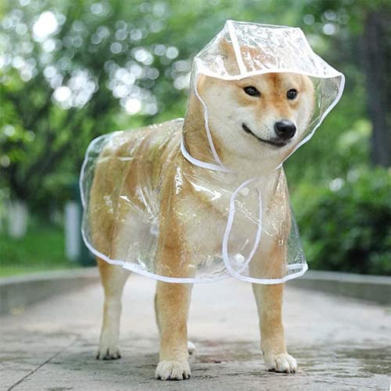 犬用レインコート 1