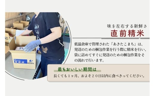 定期便12ヶ月 秋田県産あきたこまち5kg 無洗米 4