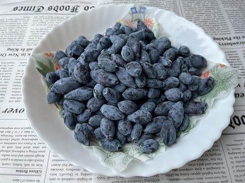 オリゴ糖と食物繊維の入った腸活ハスカップジャム  3