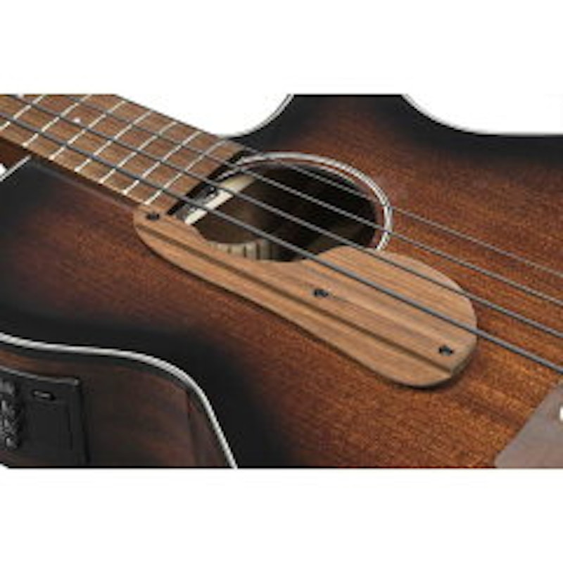 Ibanez AEGB24E 3