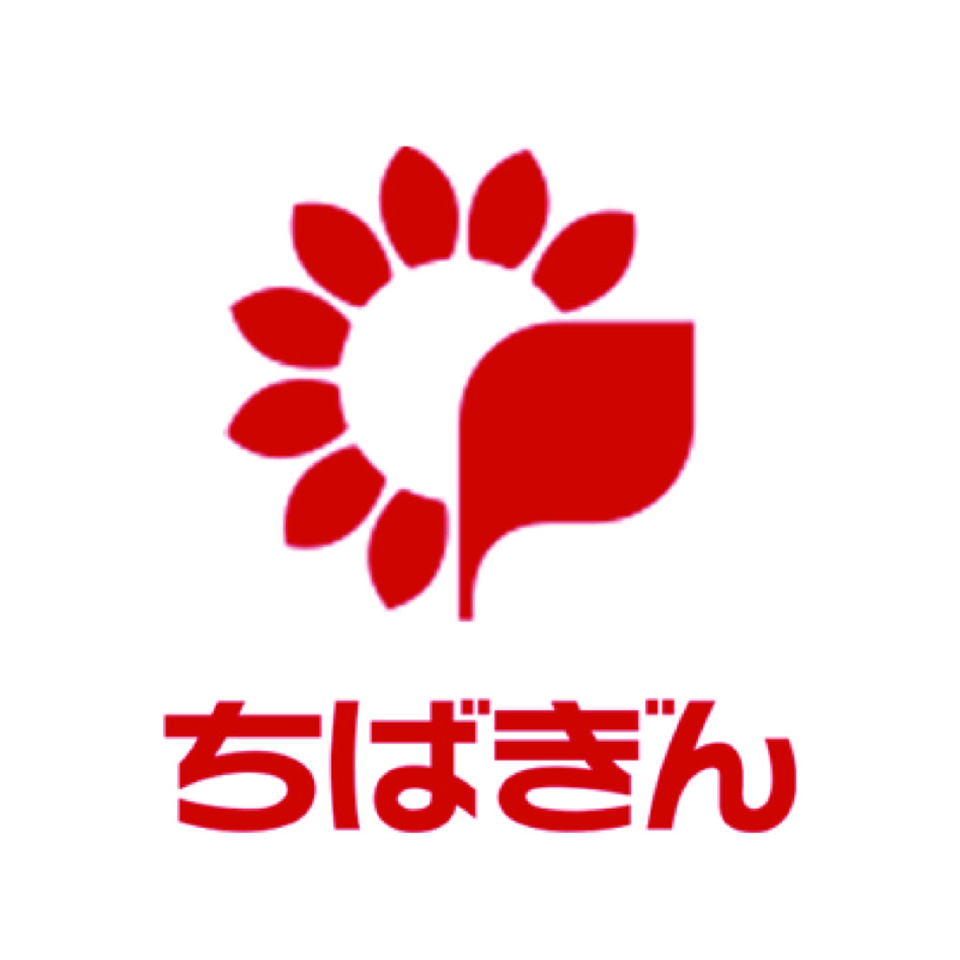 ちばぎんカードローン 1